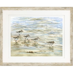 KS- SANDPIPERS IN THE SURF